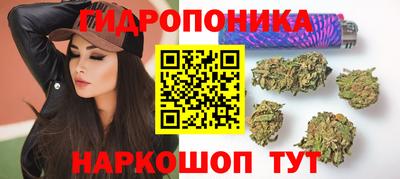 a pvp Волгодонск